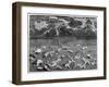 Scene of the Deluge, 1675-Athanasius Kircher-Framed Giclee Print