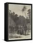 Scene of the Murder of Bishop Patteson, Santa Cruz, Pacific Ocean-null-Framed Stretched Canvas