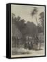 Scene of the Murder of Bishop Patteson, Santa Cruz, Pacific Ocean-null-Framed Stretched Canvas