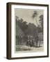 Scene of the Murder of Bishop Patteson, Santa Cruz, Pacific Ocean-null-Framed Giclee Print