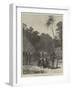 Scene of the Murder of Bishop Patteson, Santa Cruz, Pacific Ocean-null-Framed Giclee Print