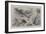 Scene of the Newly Discovered Mound Dwellings at Auchingaich Glen-William A. Donnelly-Framed Giclee Print