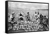 Scene on a Pineapple Plantation, with Harvested Pineapples, Hawaii, 1910-1920-null-Framed Stretched Canvas