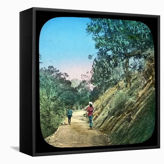 Scene on a Road, Murree, India, Late 19th or Early 20th Century-null-Framed Stretched Canvas