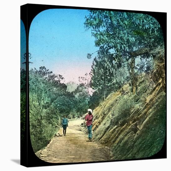 Scene on a Road, Murree, India, Late 19th or Early 20th Century-null-Stretched Canvas