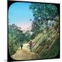 Scene on a Road, Murree, India, Late 19th or Early 20th Century-null-Mounted Giclee Print