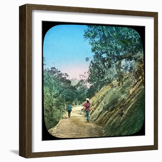 Scene on a Road, Murree, India, Late 19th or Early 20th Century-null-Framed Giclee Print