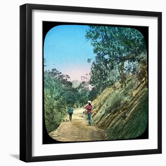 Scene on a Road, Murree, India, Late 19th or Early 20th Century-null-Framed Giclee Print