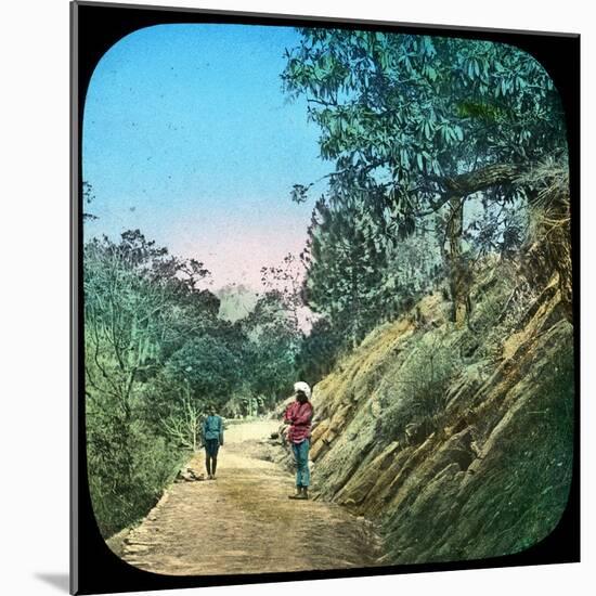 Scene on a Road, Murree, India, Late 19th or Early 20th Century-null-Mounted Giclee Print