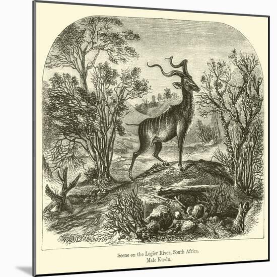 Scene on the Logier River, South Africa, Male Ku-Du-E. Jennings-Mounted Giclee Print