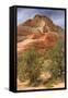 Scene on the Zion Plateau-Vincent James-Framed Stretched Canvas