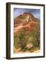 Scene on the Zion Plateau-Vincent James-Framed Photographic Print