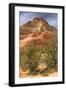 Scene on the Zion Plateau-Vincent James-Framed Photographic Print