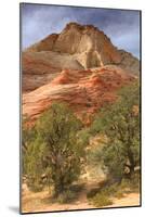 Scene on the Zion Plateau-Vincent James-Mounted Photographic Print