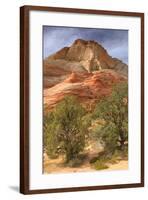 Scene on the Zion Plateau-Vincent James-Framed Photographic Print