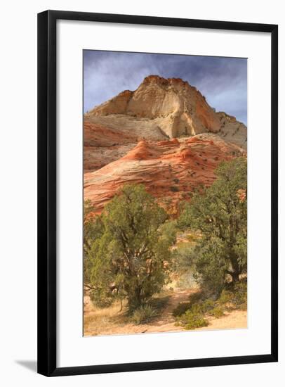 Scene on the Zion Plateau-Vincent James-Framed Photographic Print