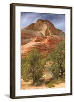 Scene on the Zion Plateau-Vincent James-Framed Photographic Print