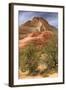 Scene on the Zion Plateau-Vincent James-Framed Photographic Print