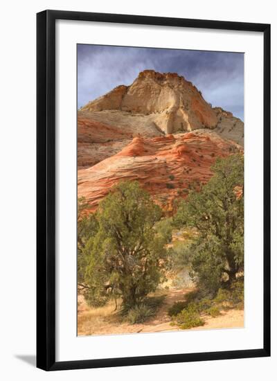 Scene on the Zion Plateau-Vincent James-Framed Photographic Print