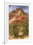 Scene on the Zion Plateau-Vincent James-Framed Photographic Print