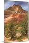 Scene on the Zion Plateau-Vincent James-Mounted Photographic Print