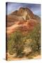 Scene on the Zion Plateau-Vincent James-Stretched Canvas