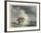 Scene Two: The Sailing Vessel Runs into Rough Seas-P.e. Lawrence-Framed Art Print