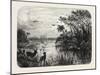 Scene Upon a Creek, Tributary to the St. John'S, Florida, USA, 1870S-null-Mounted Giclee Print