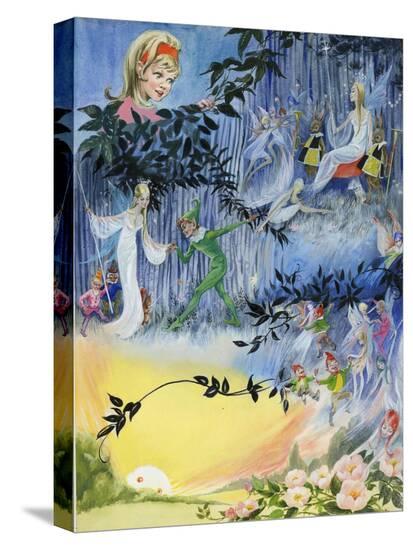 Stretched Canvas Print, , large
