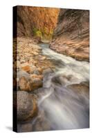 Scene Within the Virgin Narrows Zion National Park-Vincent James-Stretched Canvas