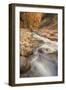 Scene Within the Virgin Narrows Zion National Park-Vincent James-Framed Photographic Print