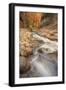 Scene Within the Virgin Narrows Zion National Park-Vincent James-Framed Photographic Print