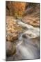 Scene Within the Virgin Narrows Zion National Park-Vincent James-Mounted Photographic Print