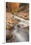 Scene Within the Virgin Narrows Zion National Park-Vincent James-Framed Photographic Print