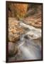 Scene Within the Virgin Narrows Zion National Park-Vincent James-Framed Photographic Print