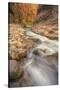 Scene Within the Virgin Narrows Zion National Park-Vincent James-Stretched Canvas