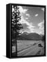 Scenery along Columbia Icefields Highway in Canadian Rockies between Banff and Jasper-Andreas Feininger-Framed Stretched Canvas