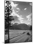 Scenery along Columbia Icefields Highway in Canadian Rockies between Banff and Jasper-Andreas Feininger-Mounted Photographic Print