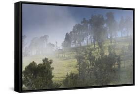 Scenery at Gunung Rinjani-Christoph Mohr-Framed Stretched Canvas