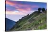 Scenery at Gunung Rinjani-Christoph Mohr-Stretched Canvas