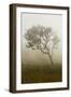 Scenery at Gunung Rinjani-Christoph Mohr-Framed Photographic Print