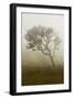 Scenery at Gunung Rinjani-Christoph Mohr-Framed Photographic Print