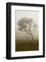 Scenery at Gunung Rinjani-Christoph Mohr-Framed Photographic Print