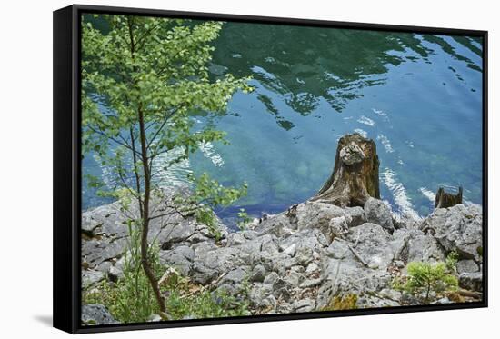 Scenery, Gosausee, mountain lake, spring-David & Micha Sheldon-Framed Stretched Canvas