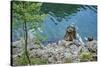 Scenery, Gosausee, mountain lake, spring-David & Micha Sheldon-Stretched Canvas