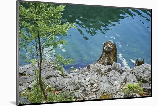 Scenery, Gosausee, mountain lake, spring-David & Micha Sheldon-Mounted Photographic Print