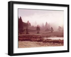 Scenery, Lake, Morning Fog-Thonig-Framed Photographic Print