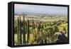 Scenery Near to Montepulciano, Val D'Orcia, UNESCO World Heritage Site, Tuscany, Italy, Europe-Julian Elliott-Framed Stretched Canvas