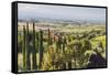 Scenery Near to Montepulciano, Val D'Orcia, UNESCO World Heritage Site, Tuscany, Italy, Europe-Julian Elliott-Framed Stretched Canvas