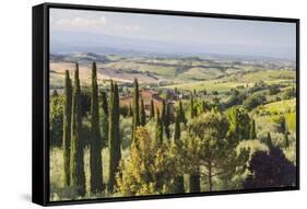 Scenery Near to Montepulciano, Val D'Orcia, UNESCO World Heritage Site, Tuscany, Italy, Europe-Julian Elliott-Framed Stretched Canvas